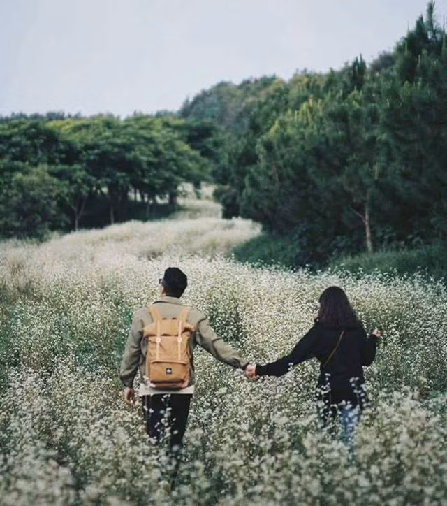 Hãy tưởng tượng, trong không gian lãng mạn của DaLat Milk Farm mà được cầm tay người yêu và đi qua những cánh đồng bạt ngàn hoa thì còn gì tuyệt vời hơn!