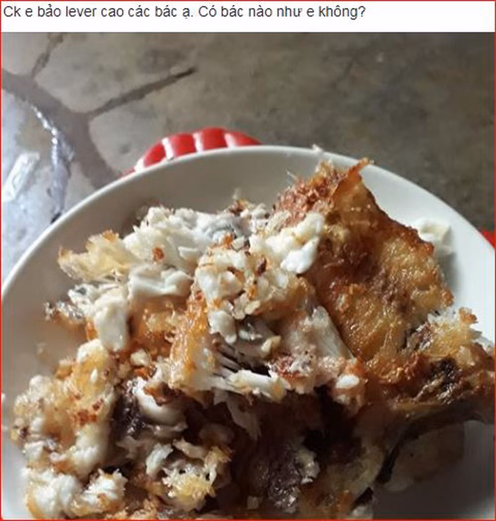 Phía dưới bài đăng, dân mạng cũng chia sẻ nhiều hình ảnh món cá rán thảm họa tương tự mình đã gặp phải.