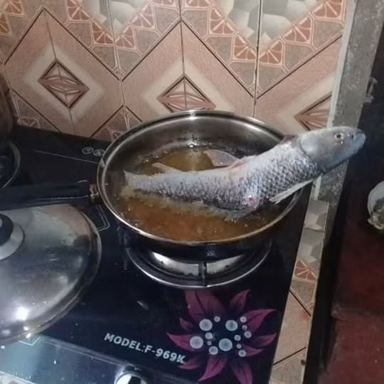 Nickname H.T bày tỏ: "Mua cái chảo chống dính về, rán bằng chảo đấy thì bố cá cũng nát. Để ráo nước, để mỡ nóng già rồi rán kĩ 1 mặt rồi mới lật. Nếu vẫn không được thì thôi vứt hết đi lấy ông chồng nào biết rán cá là được".