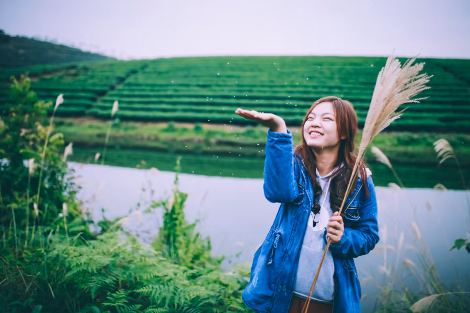 Đảo chè Cầu Cau có tổng diện tích cả mặt nước lẫn các đảo chè này rộng khoảng 83ha. Đến với "ốc đảo" chè xanh, bạn sẽ dễ dàng cảm thấy cuộc sống ở đây bình yên, cảnh đẹp nên thơ, không khí trong lành đến dễ chịu. Ảnh: Hakiin.