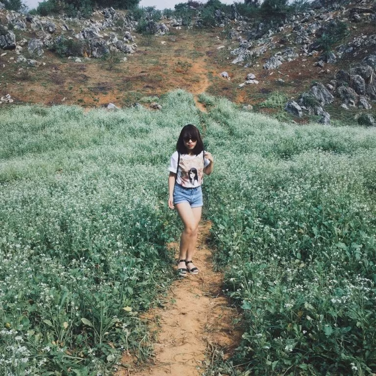 Dù là thời điểm nào trong ngày, đồng hoa tam giác mạch cũng có vẻ đẹp riêng, là tinh khôi vào sáng sớm; là rực rỡ khi mặt trời lên đến đỉnh đầu và huyễn hoặc trong ánh hoàng hôn. Ảnh: Cucucu.