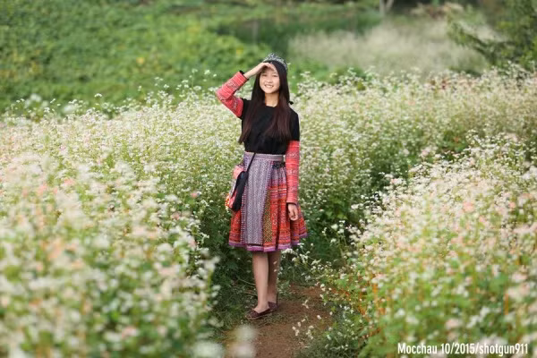 Mộc Châu không chỉ thu hút khách du lịch bởi những đồi chè xanh, những mùa hoa ban, hoa mận nở trắng đồi, mà người ta còn yêu Mộc Châu bởi mùa hoa tam giác mạch đẹp mê ly mỗi khi thu về. Ảnh: shotgun911