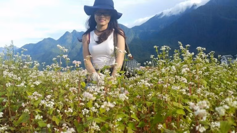 Mới chỉ được trồng cách đây 2 năm, với điều kiện khí hậu cũng như diện tích khá khiêm tốn nhưng với sức sống mạnh mẽ của mình, hoa tam giác mạch vẫn vẽ lên những bức tranh thiên nhiên thơ mộng cho Mộc Châu. Ảnh: Minhlee.