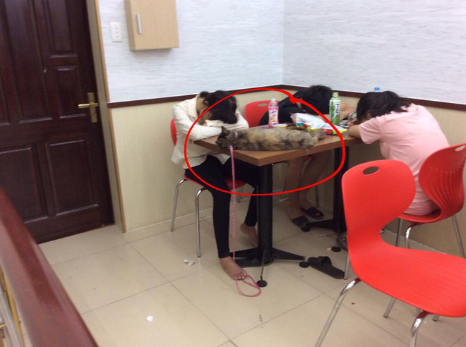 Chỉ cần mua một món đồ chưa đến 20.000 đồng, các bạn trẻ, đặc biệt là các bạn sinh viên sẽ có ngay một chỗ để ăn, học, thậm chí là nằm ngủ dưới điều hòa mát lạnh ở cửa hàng tiện lợi gần nhất mà chẳng sợ bị ai xét nét hay để ý giống như đi vào hàng trà sữa hay hàng cà phê.