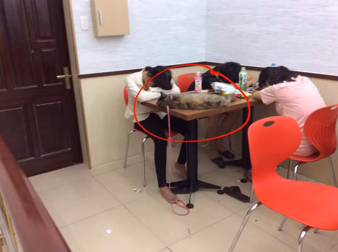 Chỉ cần mua một món đồ chưa đến 20.000 đồng, các bạn trẻ, đặc biệt là các bạn sinh viên sẽ có ngay một chỗ để ăn, học, thậm chí là nằm ngủ dưới điều hòa mát lạnh ở cửa hàng tiện lợi gần nhất mà chẳng sợ bị ai xét nét hay để ý giống như đi vào hàng trà sữa hay hàng cà phê.