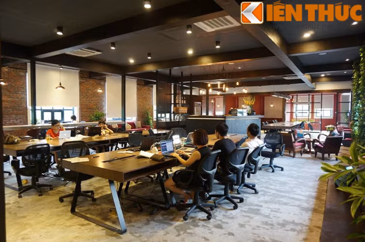 Tổ Ong được cải tạo từ một căn biệt thự cũ thời Pháp thuộc tại số 8 Tràng Thi với diện tích mặt sàn lên tới 750m2.