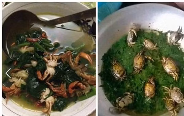 Món canh cua rau đay nhìn thôi là đã chẳng còn muốn động đũa.