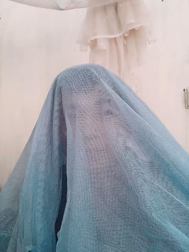 Đồng quan điểm với Hoàng Thông là nickname Duy Trí cho biết: "Các bạn nghĩ là chụp ảnh để mang lại tiếng cười nhưng thực sự đây là hành động giúp loại tà giáo này phát triển rộng rãi hơn. Hãy phân biệt đúng đâu đâu là trào lưu đang cười hay trào lưu phản cảm".