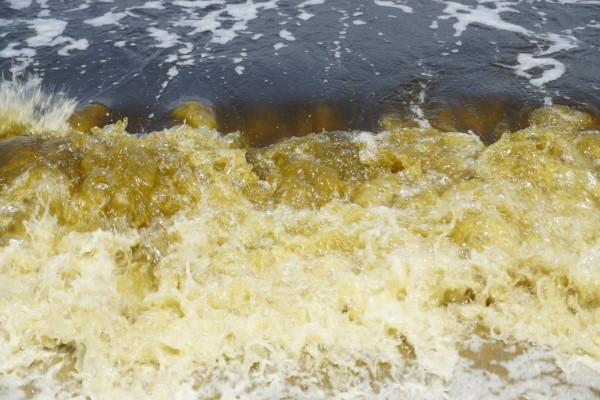 Nước biển ở Đà Nẵng đổi màu lạ khiến nhiều người dân xôn xao.