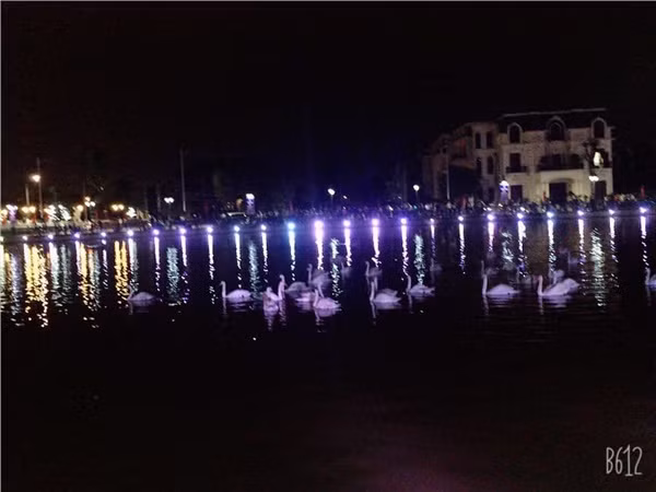 Có người cũng chỉ ra rằng, Phượng Hoàng Cổ Trấn là cảnh đẹp vì sự cổ kính hòa quyện trong vẻ hùng vĩ, mộc mạc của thiên nhiên sông nước. Trong khi phố đi bộ Hải Phòng là công trình nhân tạo hoàn toàn, hơn nữa cũng không được lung linh như trên ảnh,