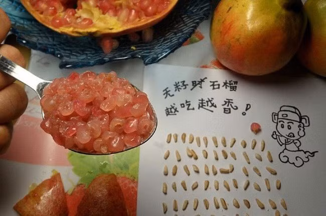 Ngồi tỉ mẩn để moi được đóng hạt lựu ra cũng cả một kì công.