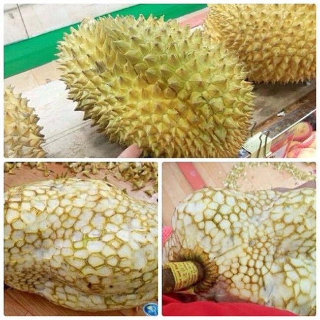 Cách để vỏ sầu riêng không đâm vào tay là đây. Chặt hết gai nó đi là xong.