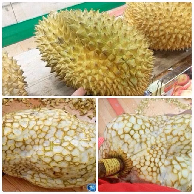 Cách để vỏ sầu riêng không đâm vào tay là đây. Chặt hết gai nó đi là xong.