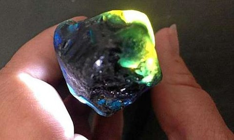 Viên đá sapphire có giá 30.000 USD - Ảnh: Gladstone Observer