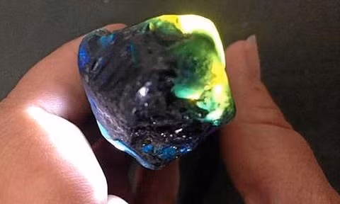 Viên đá sapphire có giá 30.000 USD - Ảnh: Gladstone Observer