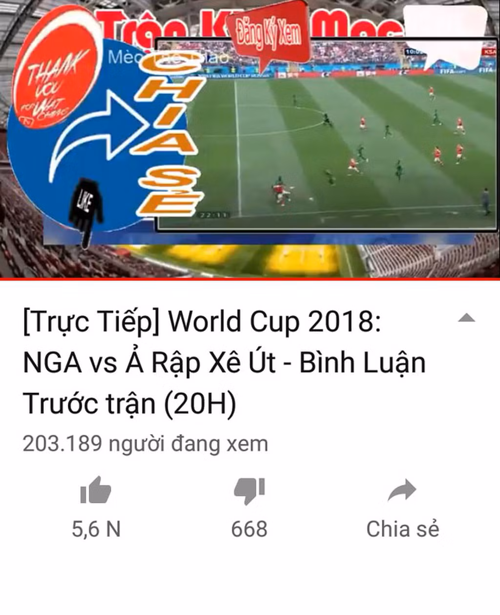 Các đơn vị vi phạm bản quyền dưới bất kỳ hình thức nào sẽ phải chịu trách nhiệm trước pháp luật về mọi tổn thất phát sinh cho Đài truyền hình Việt Nam, đồng thời, đơn vị vi phạm cũng sẽ phải chịu trách nhiệm trực tiếp về các tổn thất phát sinh theo quy định của FIFA.