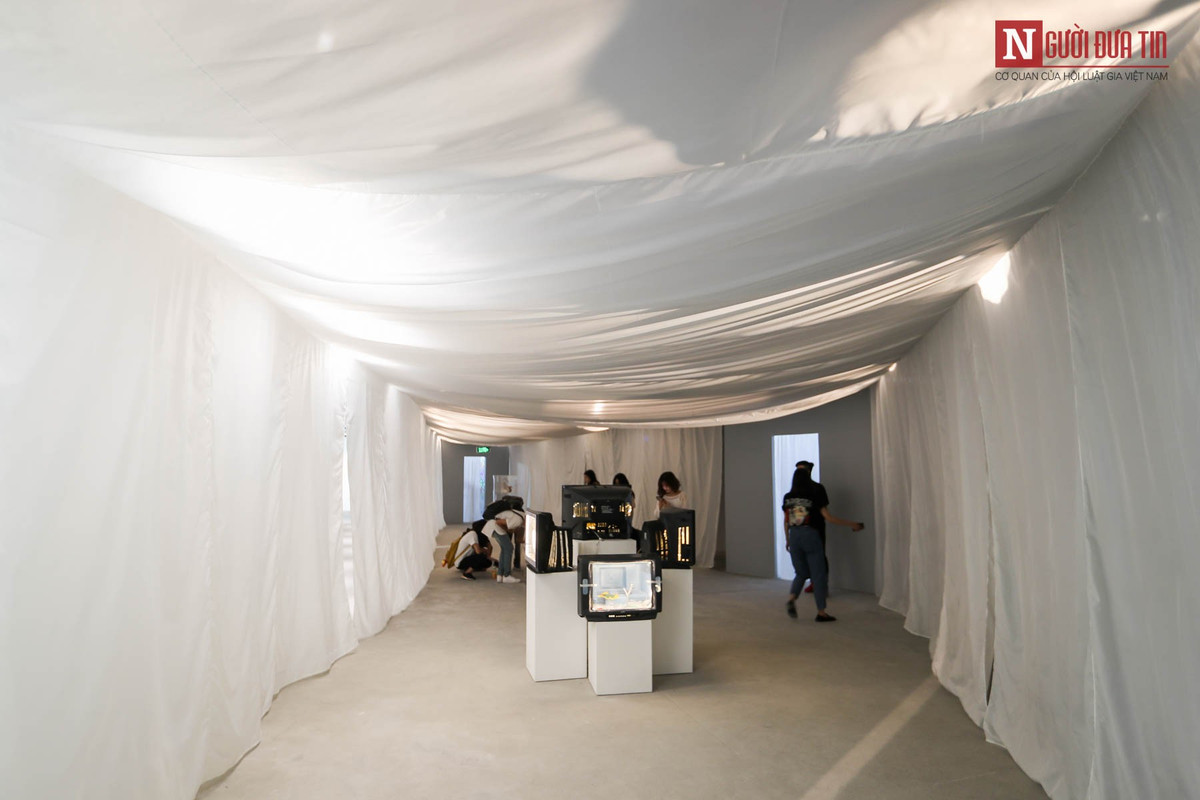 Hàng loạt các tác phẩm được trưng bày