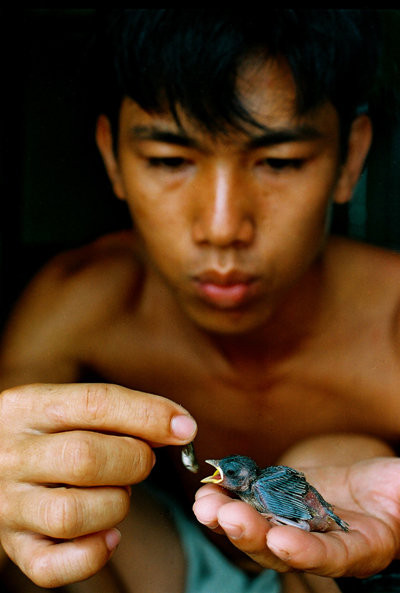 Cả ngày mệt mỏi trên lớp học rồi ngoài thao trường, chiều đến các chàng lính trẻ lại tranh thủ làm những công việc riêng như chăm sóc vật nuôi, dọn dẹp nhà sân vườn xung quanh chỗ ở. Tất cả đều được đạo diễn Tạ Nguyên Hiệp miêu tả sinh động qua những bức ảnh của mình.