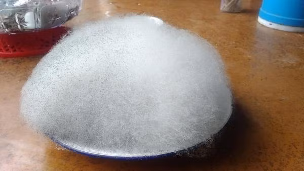 Nhiều dân mạng cho rằng, đây là đĩa kẹo bông chứ không phải đĩa bánh chưng bị nấm mốc bao phủ.