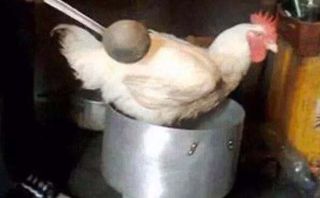 Tết đến ngoài nỗi lo về nhan sắc, quần áo thì nhiều bạn trẻ còn phải đối mặt với nỗi sợ hãi khi phải vào bếp ngày Tết.