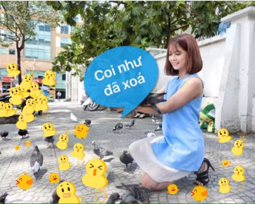 Nhờ xóa ảnh bớt những chú chim bồ câu thì cô gái được dân mạng tặng nguyên đàn gà.