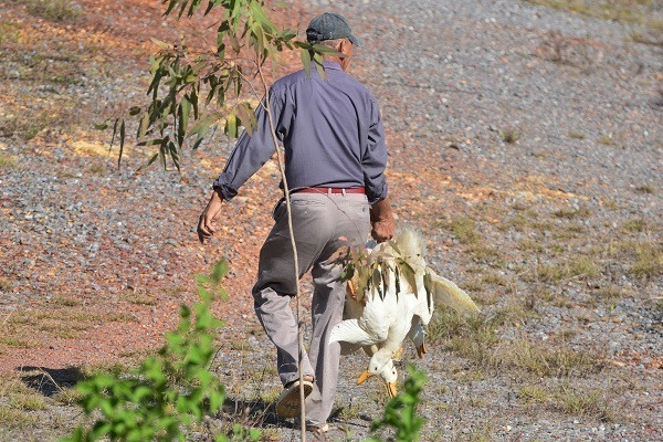Sự việc nhanh chóng được đăng tải lên các phương tiện thông tin đại chúng. Đa số ý kiến đều chỉ trích trước việc "hôi của" của người dân, thậm chí, một số người còn cho rằng, đây là hành vi ăn cắp trắng trợn và công khai của nhóm đối tượng.