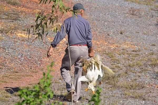 Sự việc nhanh chóng được đăng tải lên các phương tiện thông tin đại chúng. Đa số ý kiến đều chỉ trích trước việc "hôi của" của người dân, thậm chí, một số người còn cho rằng, đây là hành vi ăn cắp trắng trợn và công khai của nhóm đối tượng.