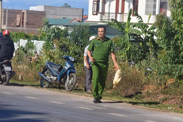 Còn nickname L.H.L thì cho hay: "Không biết ăn được 1, 2 con vịt có làm cho ý thức của họ cao lên tí nào không. Chứ nhìn những hình ảnh này mà tôi cảm thấy chán cho 1 bộ phận Việt Nam, đặc biệt là xuất hiện trong hình ảnh còn là nhiều thanh niên sức dài vai rộng".