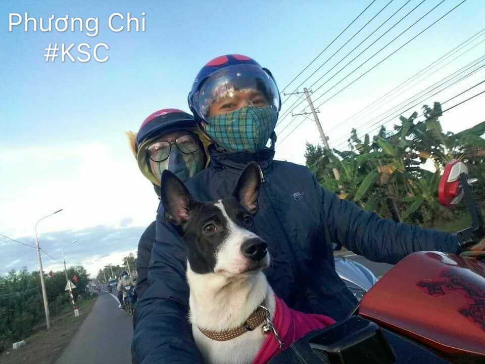 Còn với những bạn trẻ về quê dịp Tết bằng xe máy có vẻ dễ dàng hơn khi cho các chú thú cưng ngồi phía trên.