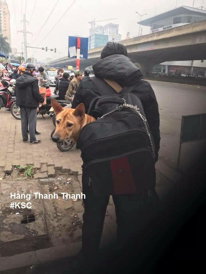 Dù đã nằm trong balo nhưng chú thú cưng này vẫn được xích rất cẩn thận.