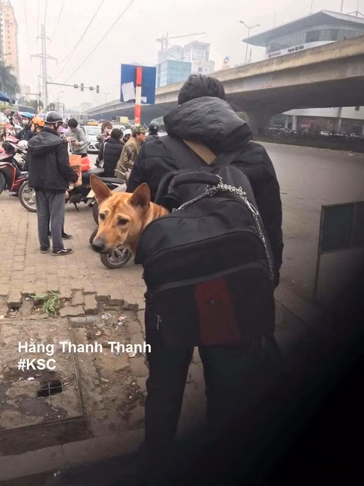 Dù đã nằm trong balo nhưng chú thú cưng này vẫn được xích rất cẩn thận.