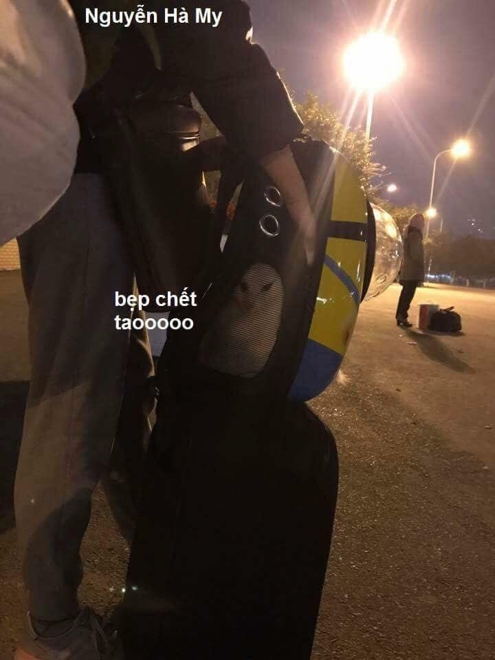 Vì quá nhiều hành lý nên ngăn để thú cưng sẽ nhỏ lại.