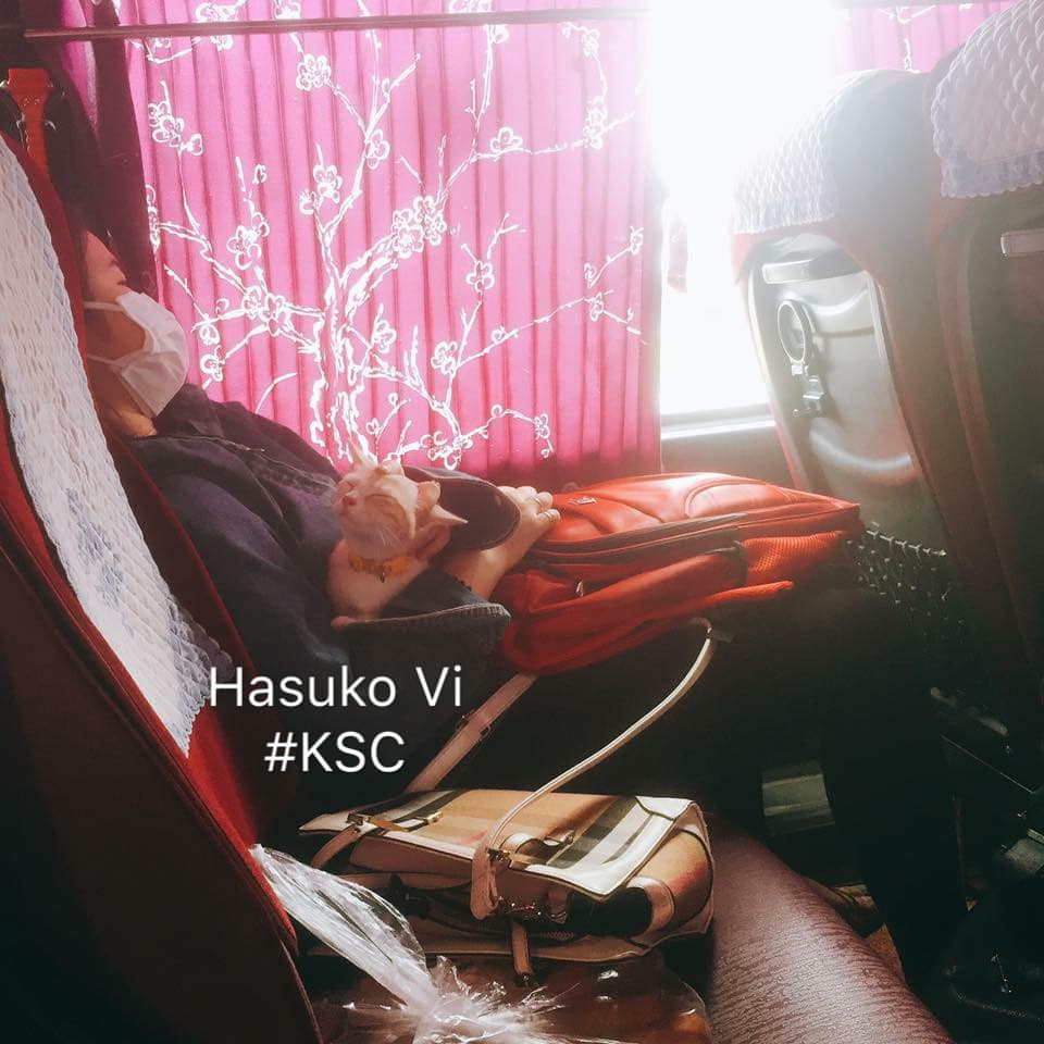 Do xe khách cấm mang vật nuôi lên xe nên nhiều bạn trẻ đã nghĩ ra cách "giấu" các "boss" vào balo.