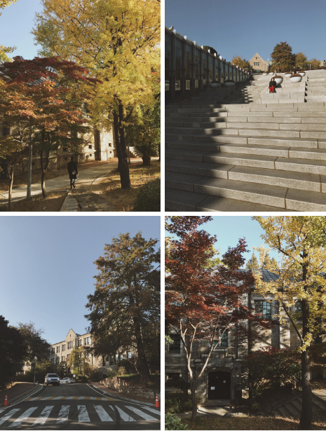 Ewha Woman University là ngôi trường trong mơ của tất cả các học sinh. Cứ đến đây chụp vài tấm hình ngắm nghía kiến trúc của trường cũng đủ cho các bạn trẻ check-in thoải mái. Ảnh: Avius
