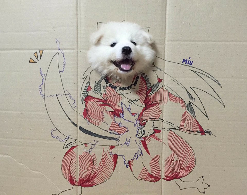 Ngay sau khi đăng tải, chùm ảnh lập tức gây xôn xao cộng đồng mạng. Chỉ sau ít phút đăng tải, bài viết đã thu về hàng nghìn lượt thích, bình luận và chia sẻ.