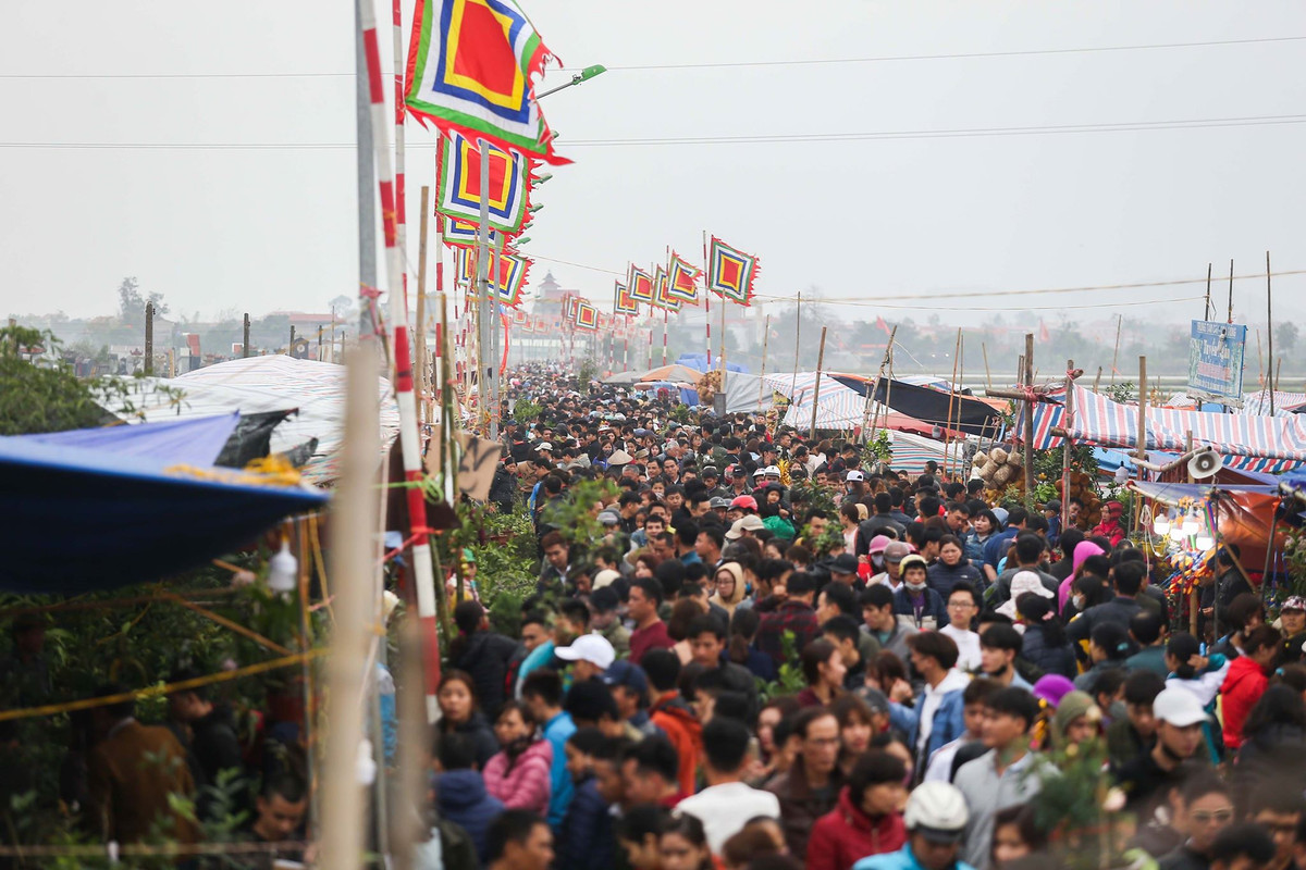 Dòng người chen lấn nhau, đông nghịt.