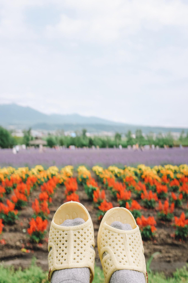 Ngồi trên đồi trại hoa Tomita nổi tiếng, ngắm chút Lavender và hành trình phương Bắc của dép tổ ong tạm kết thúc tại đây.