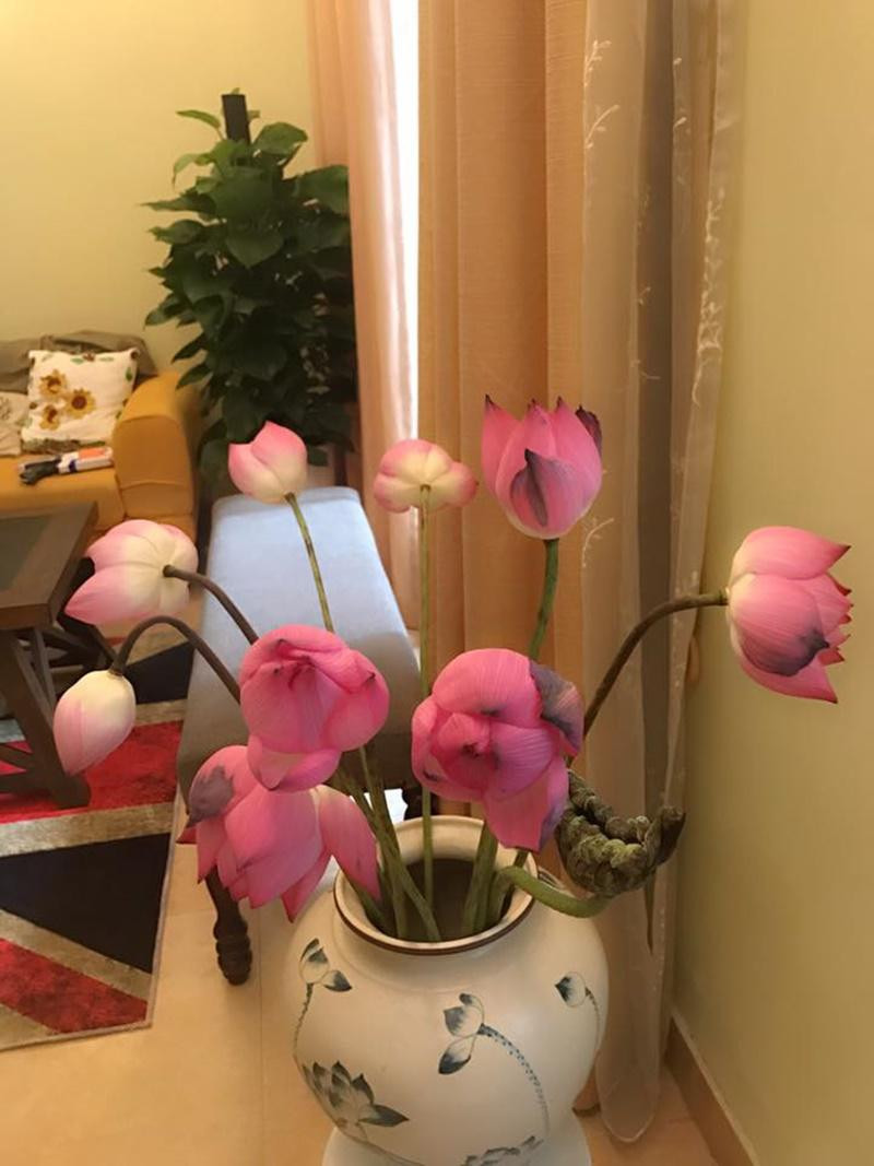 Chiem nguong ngoi nha 