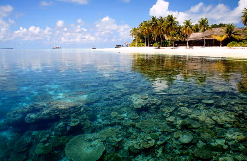 1. Maldives. Quốc đảo gồm nhóm các đảo san hô tại Ấn Độ Dương. 26 đảo san hô của Maldives bao vòng quanh một lãnh thổ gồm 1.192 đảo nhỏ.