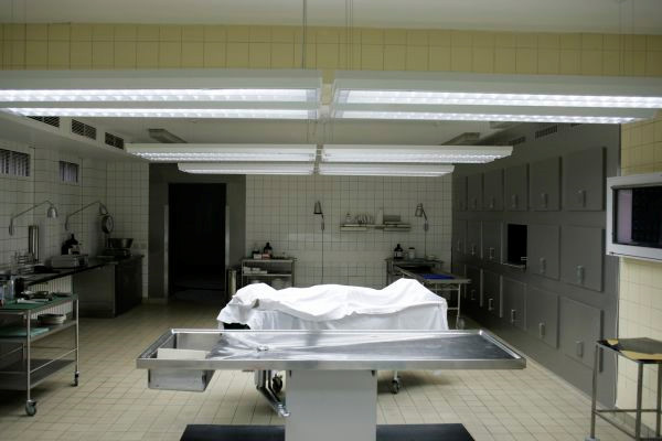 10. Nhân viên pháp y - Đây là công việc mang lại thu nhập cao nhất trong nhóm những nghề nghiệp rùng rợn tại Mỹ, trung bình khoảng 54.100 USD mỗi năm, tức khoảng 4.500 USD/tháng. Thu nhập cao đi kèm với yêu cầu về trình độ, tối thiểu là bằng đại học. Nhiệm vụ của nhân viên pháp y là thu thập chứng cứ tại hiện trường, xét nghiệm ADN phục vụ điều tra các vụ án hình sự. Ảnh: Getty Images.