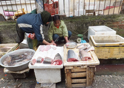 Cá hồ, sông cũng tăng giá từ 20 – 30% bởi người dân đổ xô đi mua về để bổ sung chất tanh sau những ngày phát ngán với thịt gà và thịt lợn.