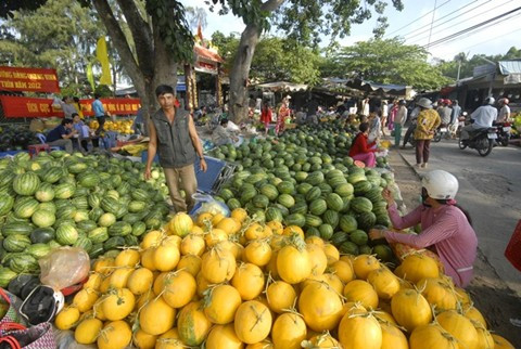 Bên cạnh mặt hàng rau xanh thì hoa quả cũng tăng giá mạnh.