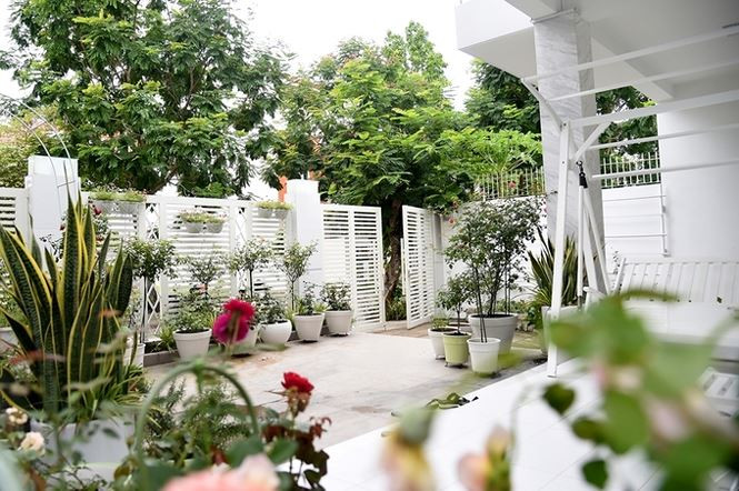 Một góc phía trước căn biệt thự.