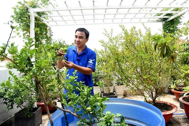 Khu vườn ở sân thượng được Quyền Linh trồng nhiều loại cây quả như: khổ qua, cóc, chanh, ổi, lựu, đậu bắp...
