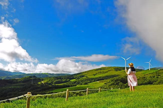 Vào những ngày cuối tuần, các gia đình tại Hàn Quốc và khách du lịch thường ghé tới Daegwallyeong, phần để giải tỏa căng thẳng sau một ngày mệt mỏi, phần để ghi lại vài bức hình kỷ niệm trong phong cảnh quá đỗi xinh yêu.