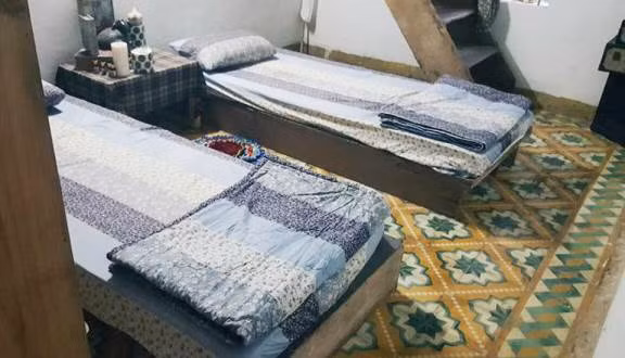 Bạn sẽ được sinh hoạt với những người “điên” của Trại, giúp đỡ bạn từ công việc làm vườn, trồng rau nhổ cỏ nấu ăn cho đến việc dạo chơi cùng nhau.