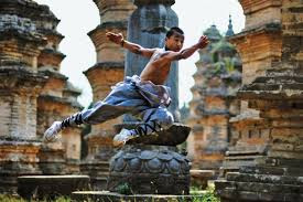 Dịch Cân Kinh cùng với Tẩy Tủy Kinh là một trong hai môn công pháp trấn phái của Thiếu Lâm Tự. Dịch Cân Kinh là một bí kíp chỉ dẫn cách vận khí nhằm cường thân kiện thể và trường sinh bất lão