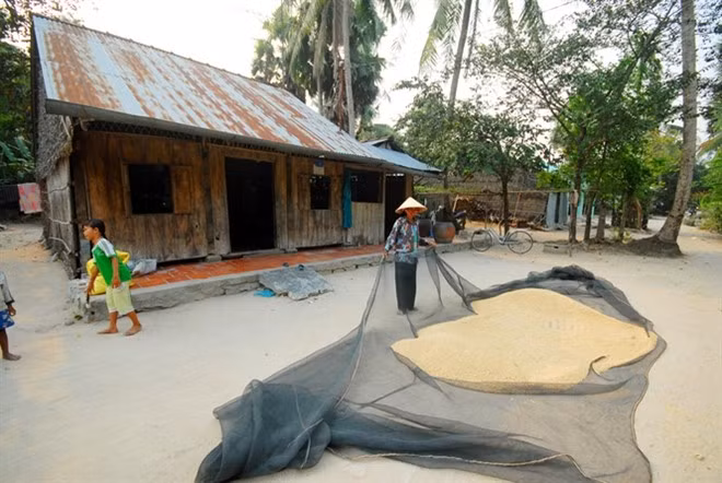 Nhà mái tôn, vách lá, cửa gỗ thông dụng ở làng quê.