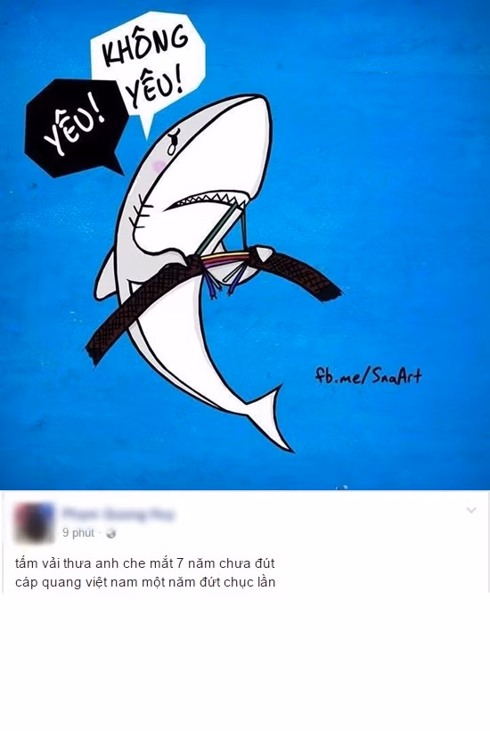 Thành viên có nickname Phạm Quang Nhật chia sẻ trạng thái bằng một bài thơ khá buồn cười: "Tấm vải thưa anh che mắt 7 năm chưa đứt, cáp quang Việt Nam một năm đứt chục lần".