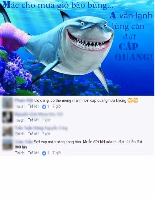 Sau khi nghe tin tuyến cáp quang APG ở phân đoạn Việt Nam - Hồng Kông đã gặp vấn đề, còn chưa rõ nguyên nhân cụ thể, dân mạng đã “than trời” và có không ít những bình luận vô cùng bá đạo và hài hước về sự cố đứt cáp quang lần này.